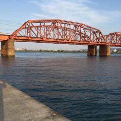 紀ノ川チヌ終了？