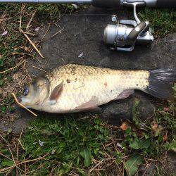 尺上でしたが…