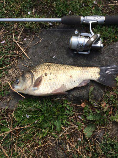 尺上でしたが…