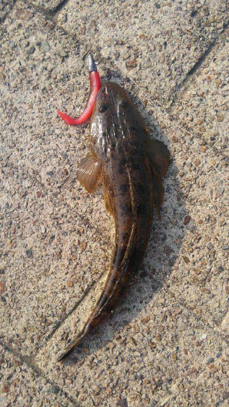 久美浜公園にて(笑)。