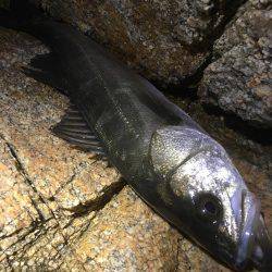 悪天候の中で。