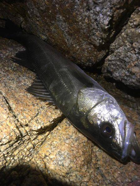 悪天候の中で。