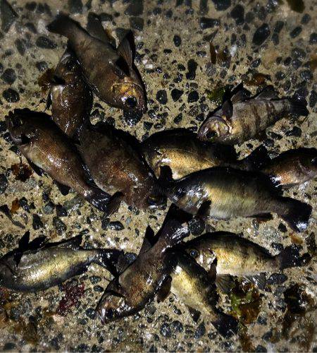 はじまりましたね！