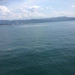 夜釣りに来たんだけど