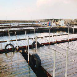 初めての釣り堀