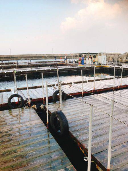 初めての釣り堀