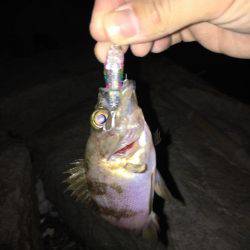 仕事終わりに。