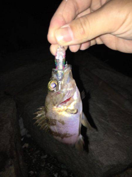 仕事終わりに。