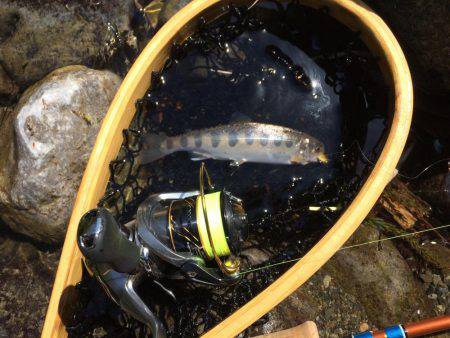 秋川渓流ルアー