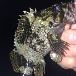 昨夜から朝方まで！！激寒釣行