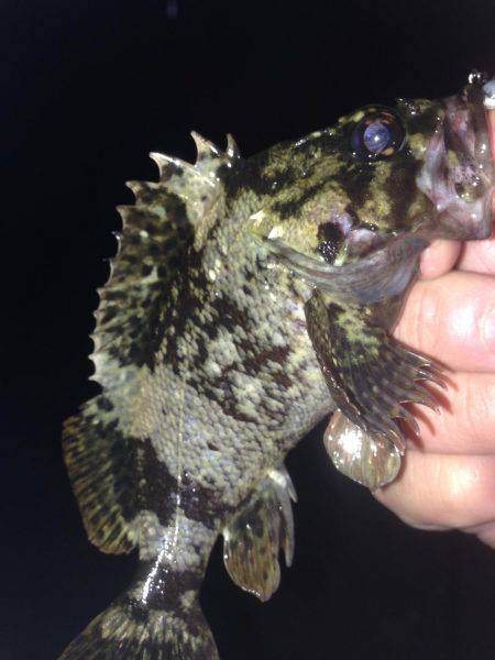 昨夜から朝方まで！！激寒釣行