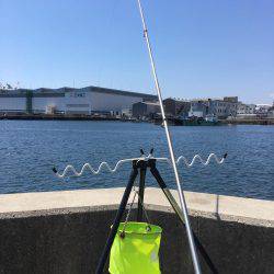 花見カレイに逢いたくて