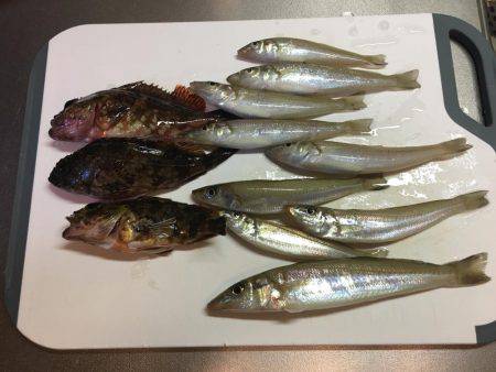 ちょい投げキス