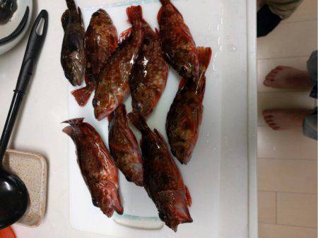 二週連続の雑賀先