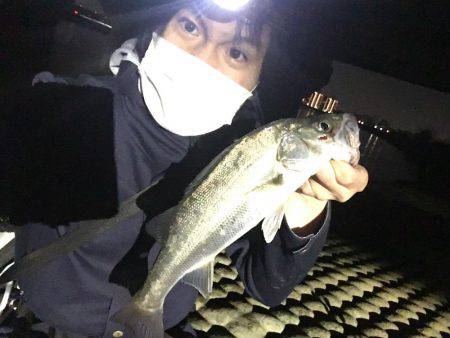 神崎川シーバス調査の旅