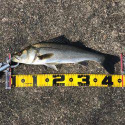 粘って、なんとか…