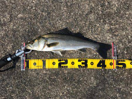 粘って、なんとか…