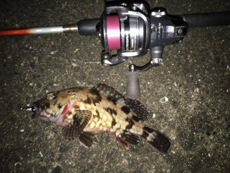 チヌに振られて