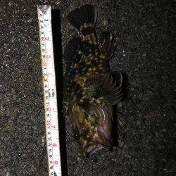 あたり多いけど