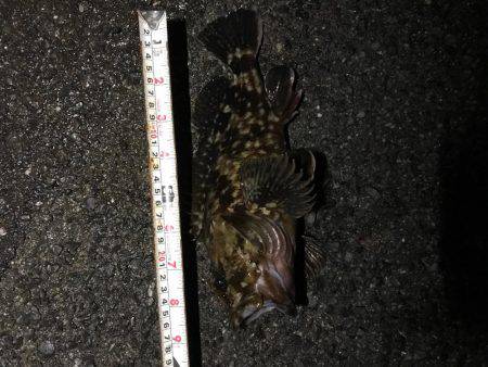 あたり多いけど