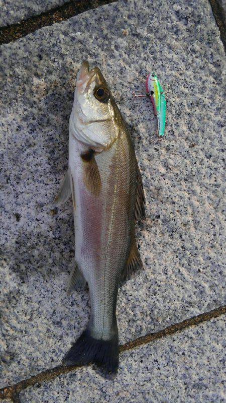 かぶと山公園にて(笑)。