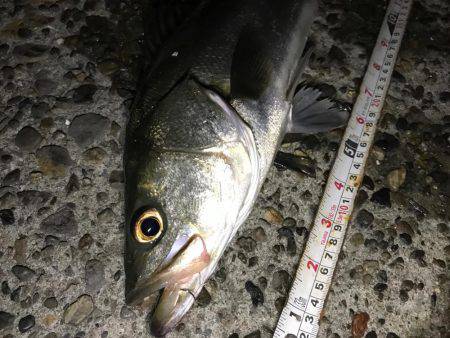 早くＧＷきてほしいな