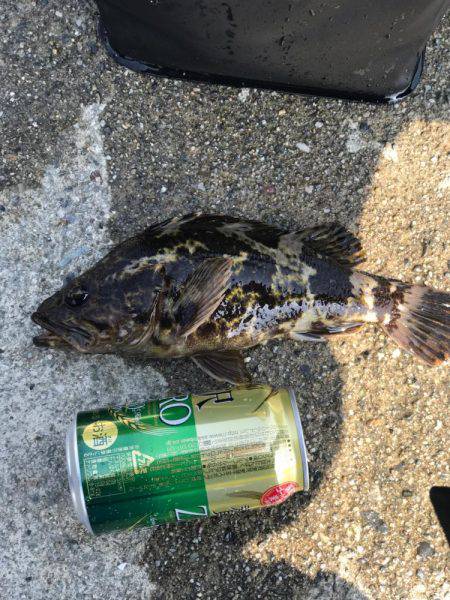 早朝から頑張ったのに…