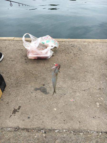 ファミリーフィッシング！