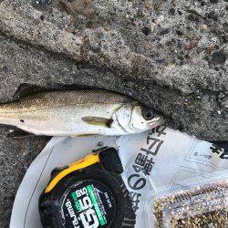 潮の流れが川のよう