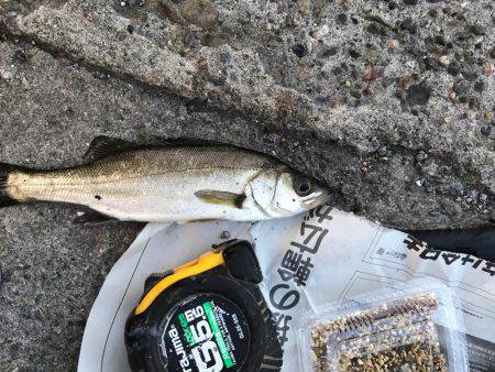 潮の流れが川のよう