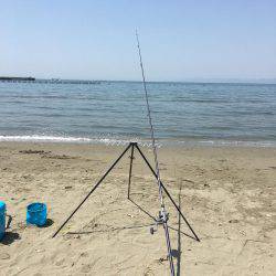 やめられまへん穴釣りは♪