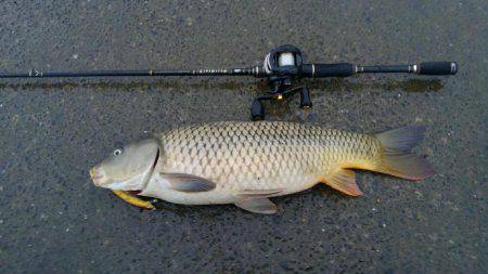 ニュータックルで練習のつもりが⁉