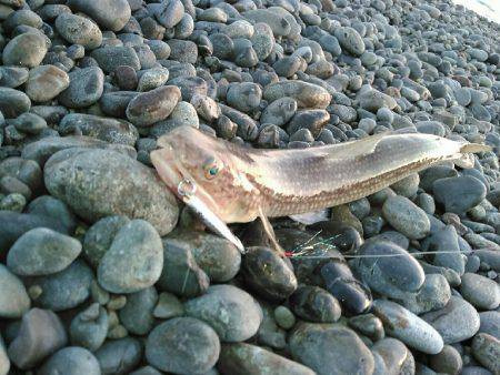 エソ1グランプリ