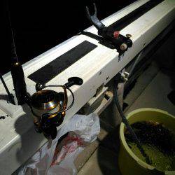 初めての船釣り【釣人屋・ロックフィッシュショート便】