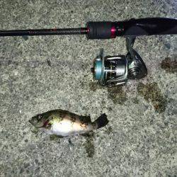 伊根～宮津ランガン