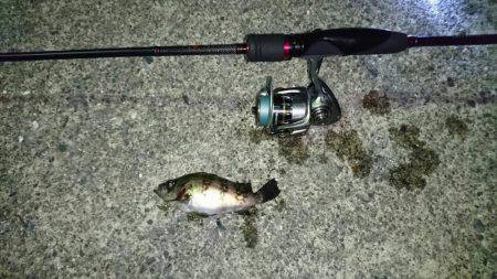 伊根～宮津ランガン