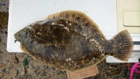 そろそろ終盤？？