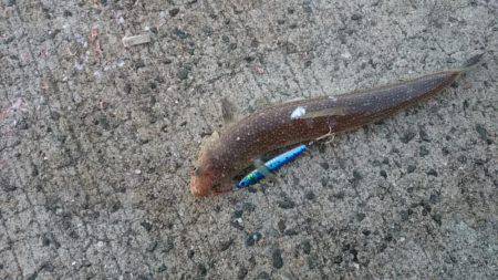 予定通りいつもの方が…