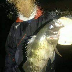 メバル春爆&メジロ!?