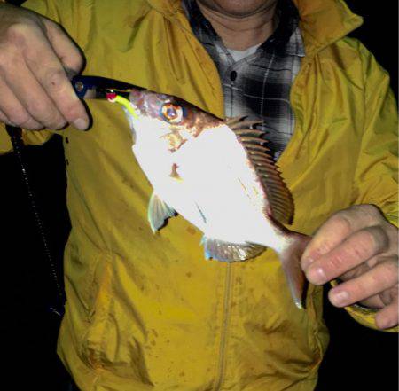 メバリングが(^^;;