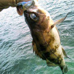 今日は渋かった～！