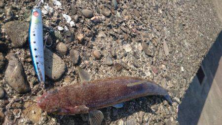 南紀遠征の帰りに❗