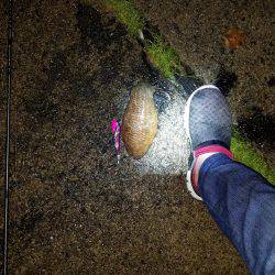 まだまだ小さい？