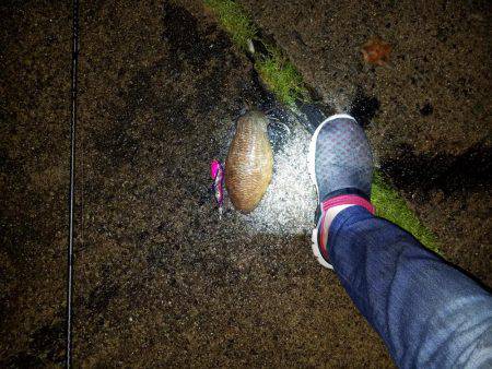 まだまだ小さい？