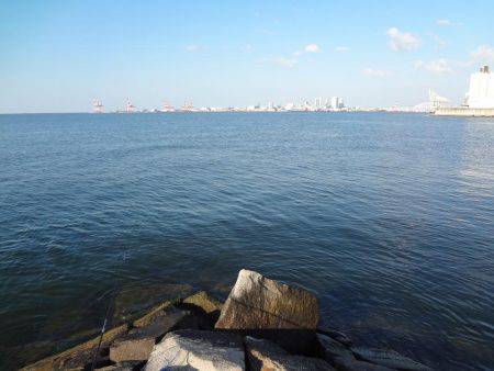 タケノコメバル、ハネ