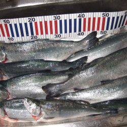 鳥取遠征２日目