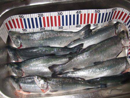 鳥取遠征２日目