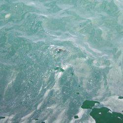 今だけの釣り。