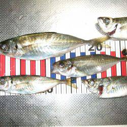 居残り、2日目。