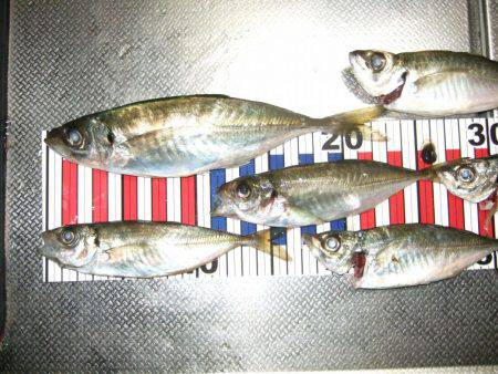 居残り、2日目。